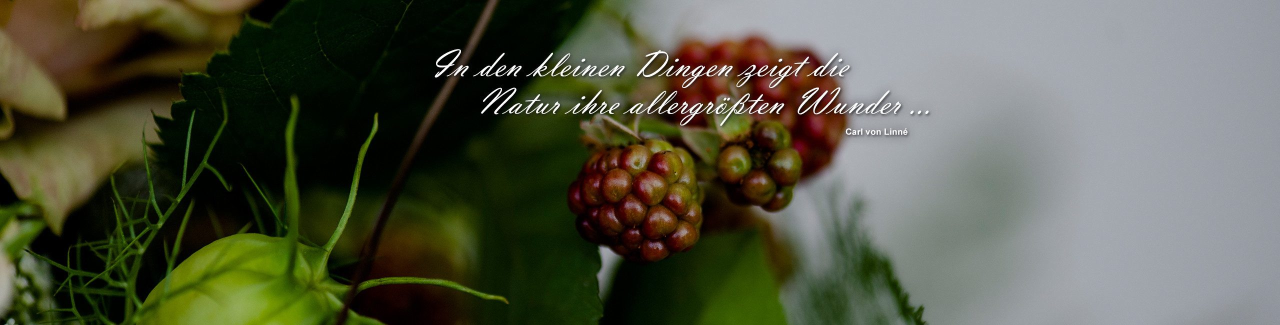 Blumengeschäft Steinbrecher an der Dortmunder Straße in Waltrop